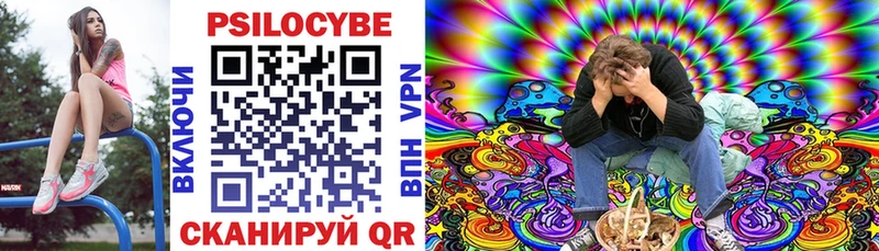 Купить  Данков  Галлюциногенные грибы Cubensis 